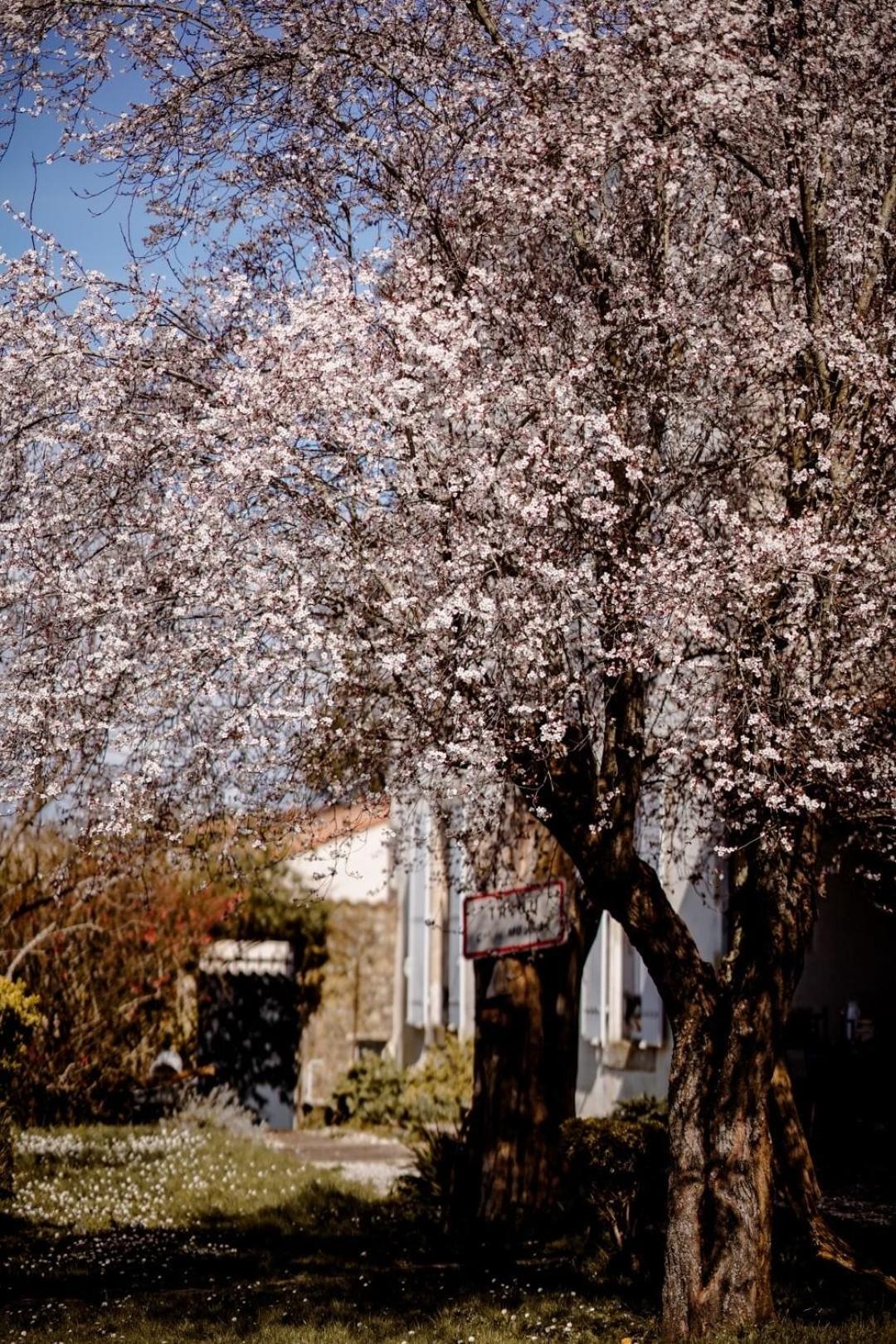 Chez Guilhem Panzió Saint-Maixent-lʼÉcole Kültér fotó